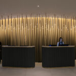 Decorative Lights